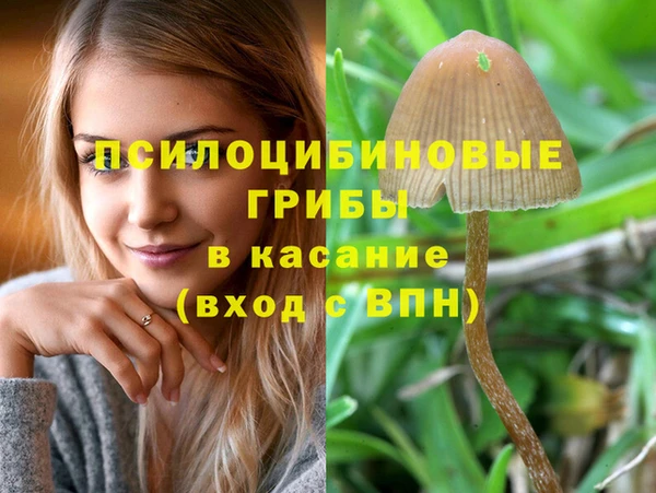 не бодяженный Лабытнанги