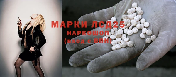 PSILOCYBIN Лагань