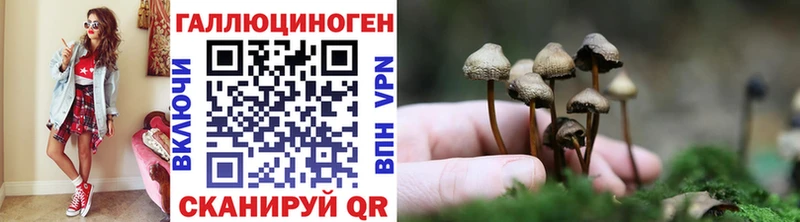 Псилоцибиновые грибы GOLDEN TEACHER  это телеграм  Лодейное Поле 